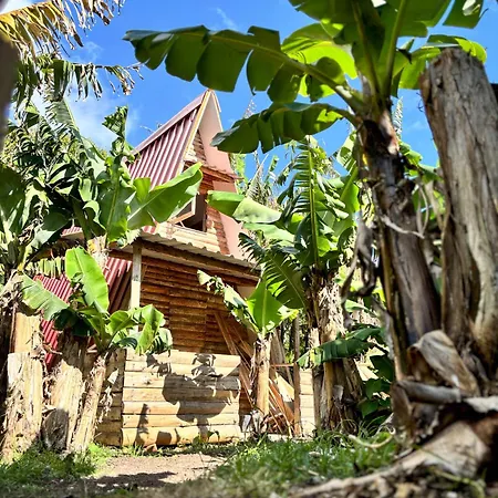 Banana Eco Camp