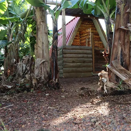 Banana Eco Camp
