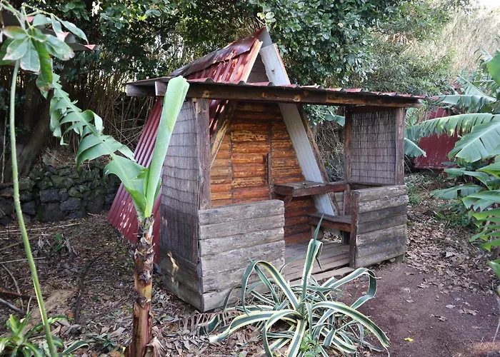 Campingplatz Banana Eco Camp *