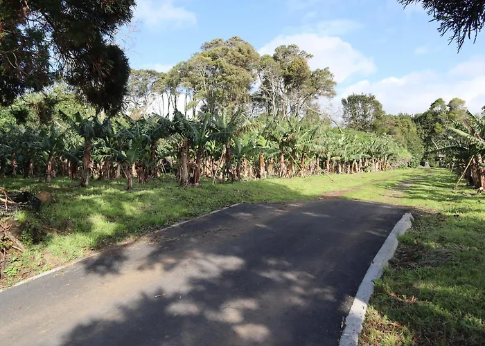 Banana Eco Camp * Angra do Heroísmo