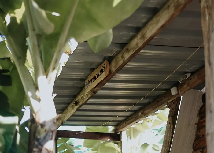 Banana Eco Camp Campingplatz *