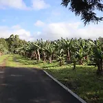 Banana Eco Camp *