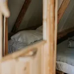 Banana Eco Camp