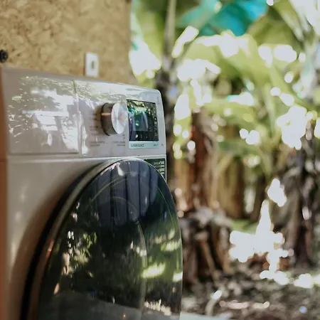 Banana Eco Camp Camping Angra do Heroísmo