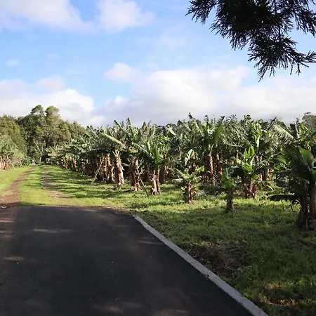 Banana Eco Camp *