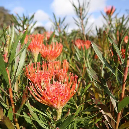 Banana Eco Camp Angra do Heroísmo