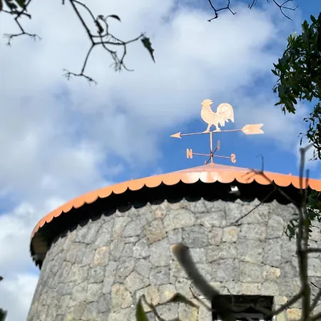 Banana Eco Camp Camping Angra do Heroísmo