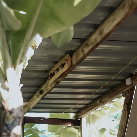 Banana Eco Camp Camping *