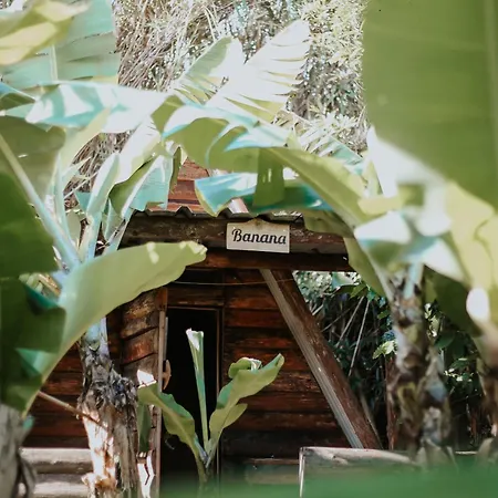 Banana Eco Camp
