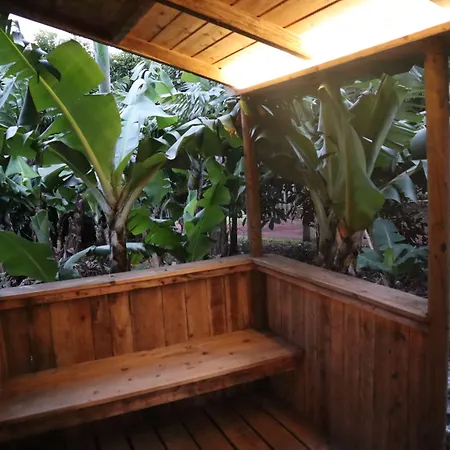 Banana Eco Camp