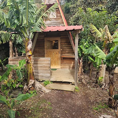 Banana Eco Camp Kemping