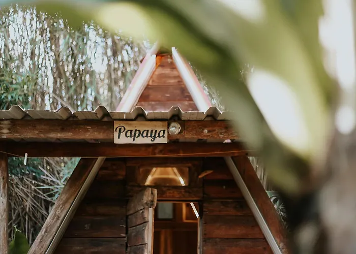 Banana Eco Camp Campsite