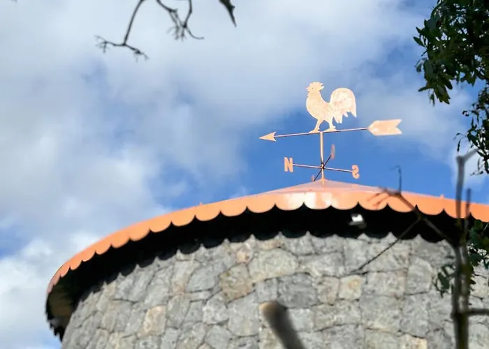 Banana Eco Camp Campsite Angra do Heroismo