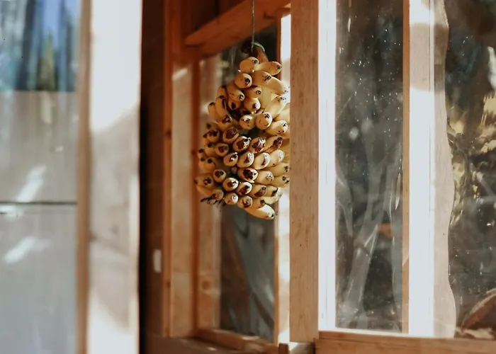 Banana Eco Camp Campsite Angra do Heroismo