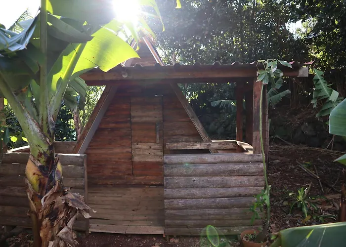 Campsite Banana Eco Camp